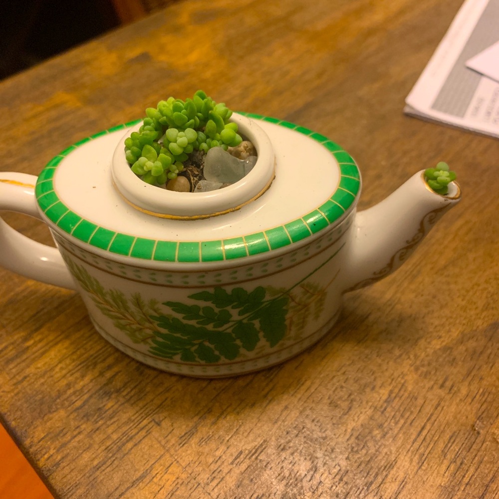 Succulent terrarium tea set kettle
